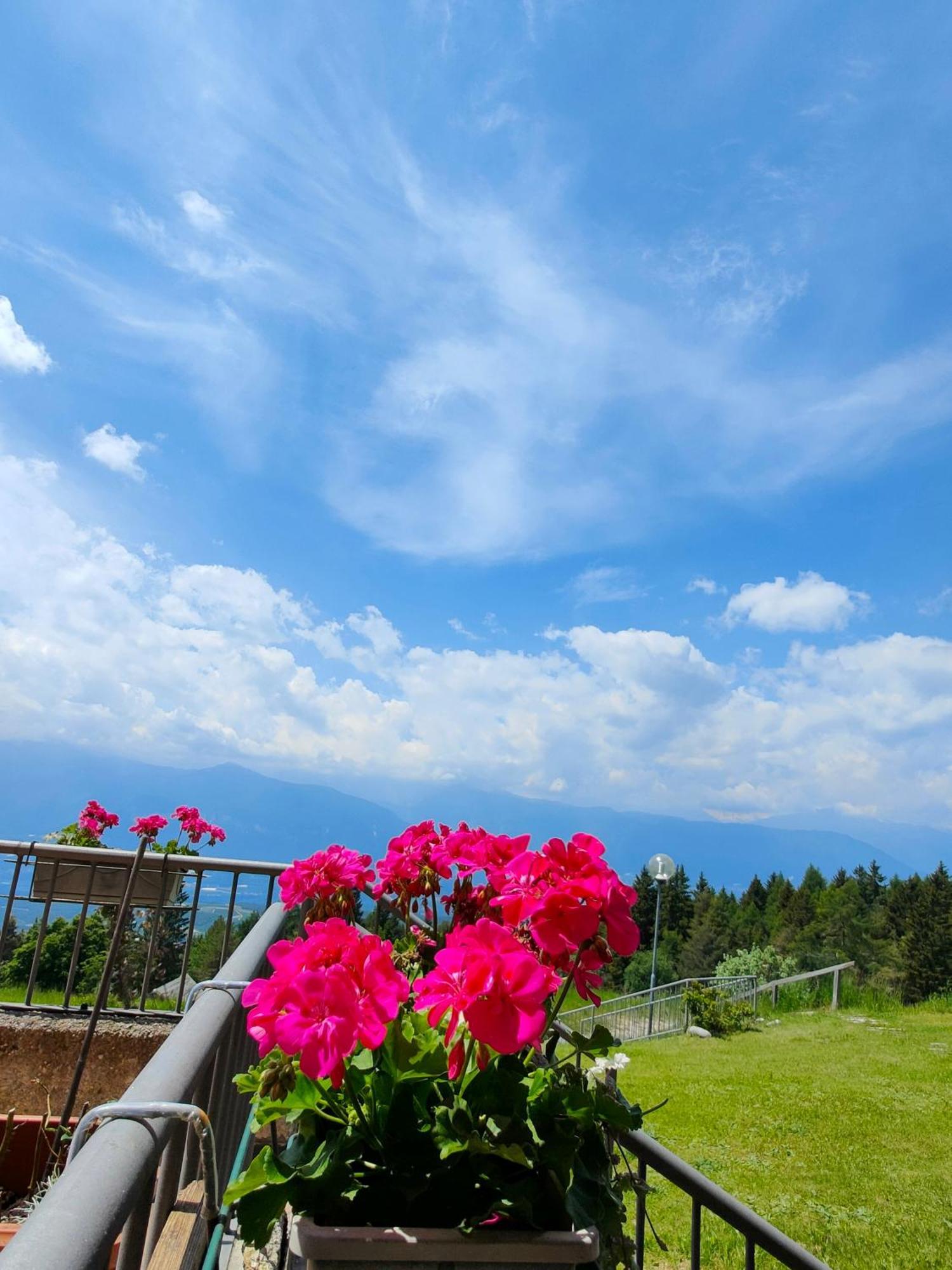 Hotel Rifugio Predaia Ai Todes'ci *