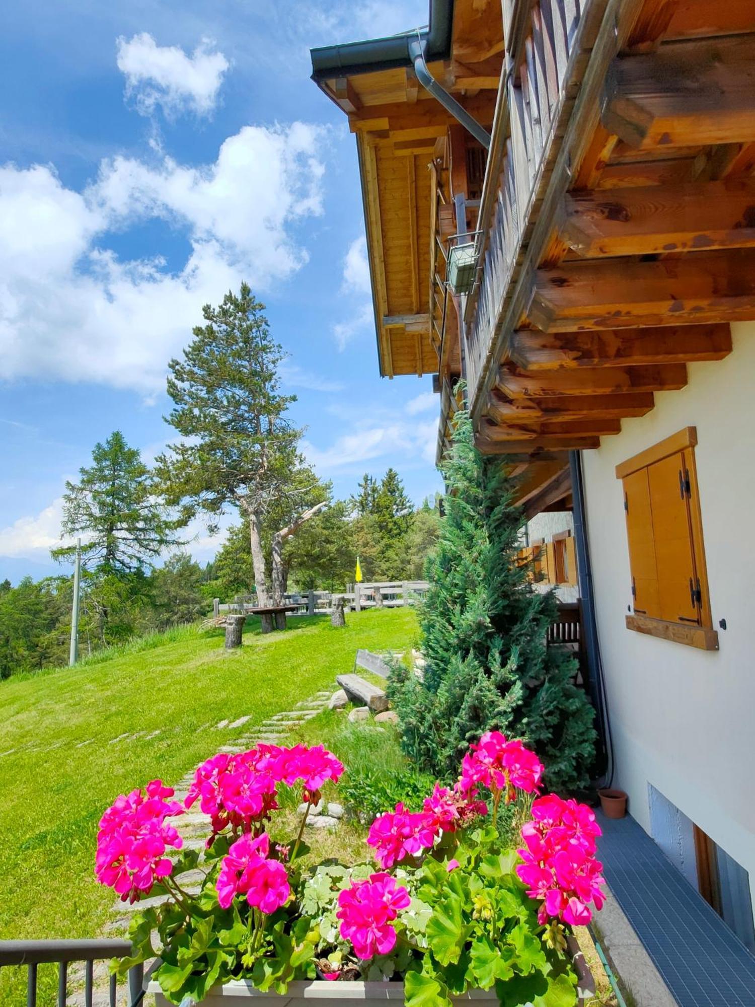 Rifugio Predaia Ai Todes'ci