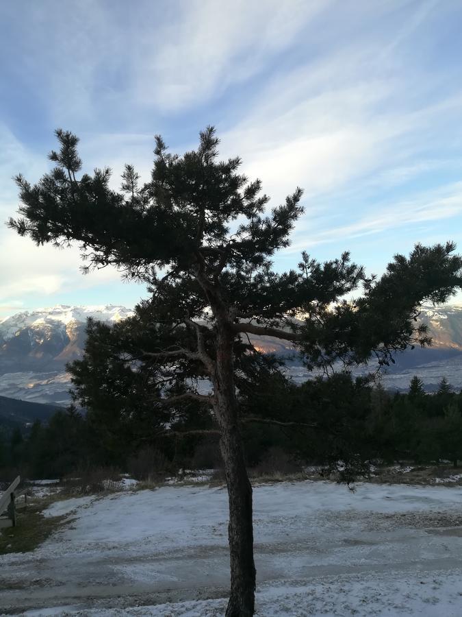 Rifugio Predaia Ai Todes'ci Hotel